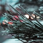 31 октября на большей части Казахстана ожидаются снег и дождь 