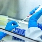 Коронавирусты анықтайтын тегін жедел-тестіні қайда тапсыруға болады?