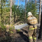 Лесной пожар в области Абай локализован