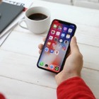 Казахстанский стартап по продаже цветов привлек 50 тысяч долларов зарубежных инвестиций
