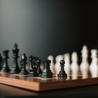Две казахстанские школьницы выиграли «золото» и «серебро» на чемпионате мира по шахматам