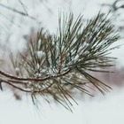 Какой будет погода в Казахстане 16 ноября, рассказали синоптики