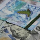 225 миллионов тенге перечислили казахстанцы на помощь пострадавшим Арыса за три дня
