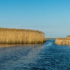После пожара на побережье Каспия продолжают тлеть тростниковые заросли