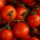 Казахстан вернул 61 тонну зараженных импортных продуктов питания
