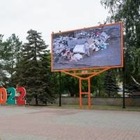 В Рудном для решения проблемы мусорных свалок решили показывать видео с нарушителями на LED-экранах