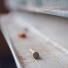 В Алматинской области расследуют факт изнасилования второклассника