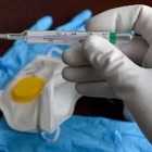 В Казахстане за неделю от COVID-19 умерло 208 человек