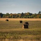 Генпрокуратура: Дефицит земель в Казахстане создают искусственно