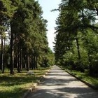15 маусымда Ботаника бағы ашылады