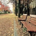 Перенести часть вузов и колледжей из Алматы в Конаев