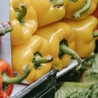 Инфляция в октябре составила 18,8 % в годовом выражении