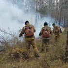 Пожар в Аулиекольском районе локализован
