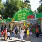 Стали известны причины гибели животных в зоопарке Алматы