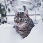 Погода на выходных будет иметь неустойчивый характер — синоптики
