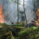 Пожар в области Абай: С 14 работниками лесничеств потеряна связь