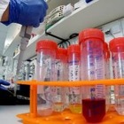 СМИ: Коронавирус мог быть создан в китайской лаборатории 