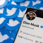 Илон Маск продал 7,9 миллиона акций Tesla на фоне отказа от сделки по приобретению Twitter