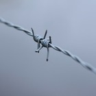 Дипломаты спасли из трудового рабства 10 узбекистанцев в Алматы