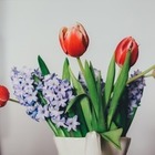Цветочный магазин бесплатно раздавал букеты к 1 сентября и спровоцировал давку