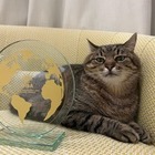 Кот Степан из Харькова получил международную премию в Каннах