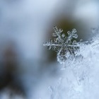 На севере Казахстана ожидаются морозы до 28 градусов
