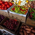 Казахстан принял решение запретить экспорт ряда продовольственных товаров