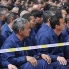 Дипломаты 30 исламских стран посетили Синьцзян