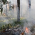 Пожар в Караганде: Пострадало 40 гектаров леса