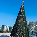Елку в Шымкенте перенесут на другое место. Этого требовали родственники погибших в январе 