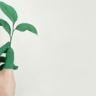 Исследование: Экотренды раздражают людей и отталкивают от заботы об окружающей среде