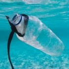 ВОЗ: Микропластик в воде представляет минимальную опасность для здоровья 