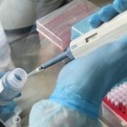 Россия готова отправить в Казахстан медикаменты и тест-системы