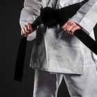 Мировые каратисты проведут тренировки онлайн