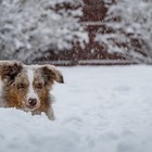 В ближайшие дни в Казахстане ожидаются 25-градусные морозы