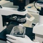 Китайские ученые исключили версию происхождения коронавируса в результате лабораторной утечки