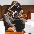 Поделиться своей историей изоляции можно на историческом сайте