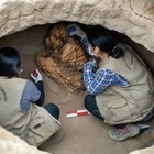 В Перу нашли странную связанную мумию. Ей не менее 800 лет