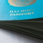 С июля в Казахстане внедрят специальную карту для этнических казахов