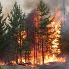 Площадь пожара в Карагандинской области увеличилась в пять раз