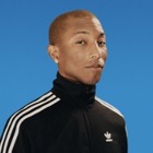 Adidas и Фаррелл Уильямс готовят коллаборацию