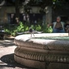 Вокруг театра ГАТОБ обновились скверы. Их уже открыли