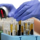В Дании обнаружили еще одну мутацию COVID-19