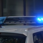 Организатора фестиваля Shakefest привлекут к ответственности