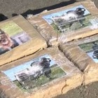В Нидерландах жители охотятся на 300 пакетов с кокаином, выброшенных на пляж