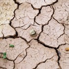 Погода на май: Синоптики прогнозируют сильную засуху в двух регионах