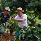 Nespresso представляет лимитированную коллекцию Master Origin Costa Rica