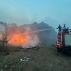 Трое работников лесничества погибли в пожаре, охватившем область Абай — МЧС