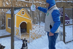 PetVille: Что происходит в деревне для собак, основатели которой собирают 128 миллионов тенге