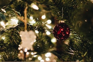 Winter Family Party, фильм «Небесный верблюд» и концерт Thriller